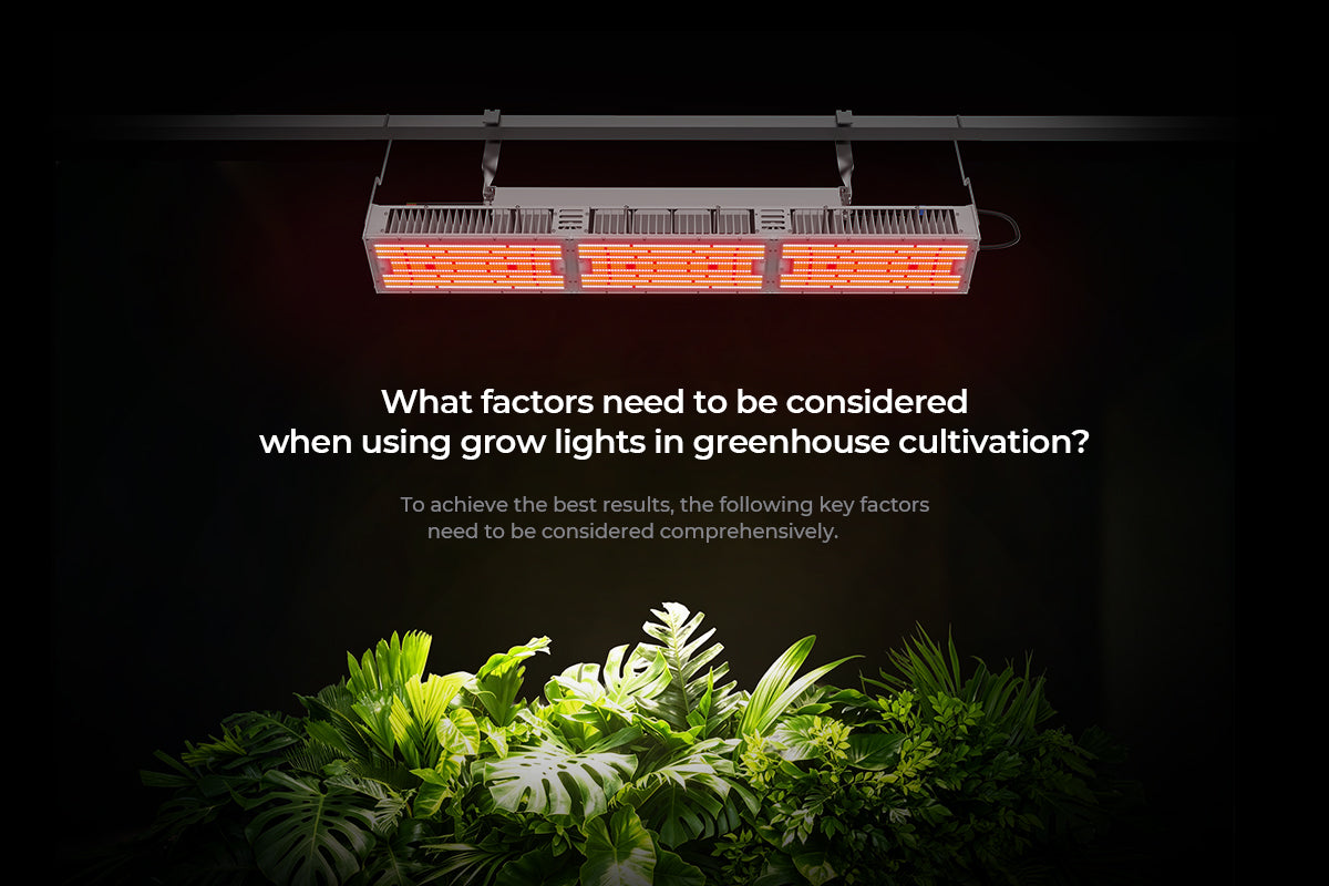 greenhouse growing light factors displayed above lush plants in a greenhouse cultivation setting.