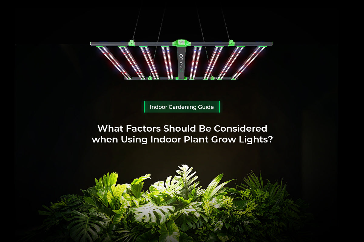 Indoor gardening lighting setup highlighting indoor growing light factors for optimal plant growth.