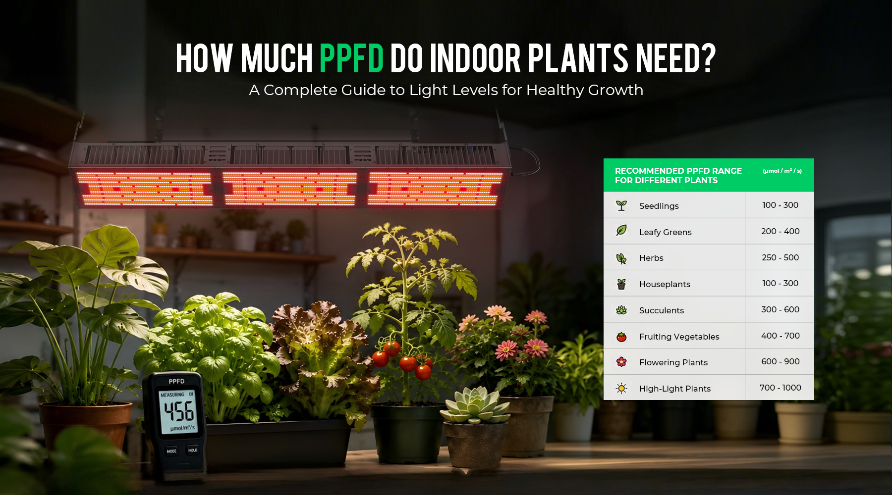 Indoor plants under grow lights measuring PPFD levels for indoor plants in a guide to optimal light settings.