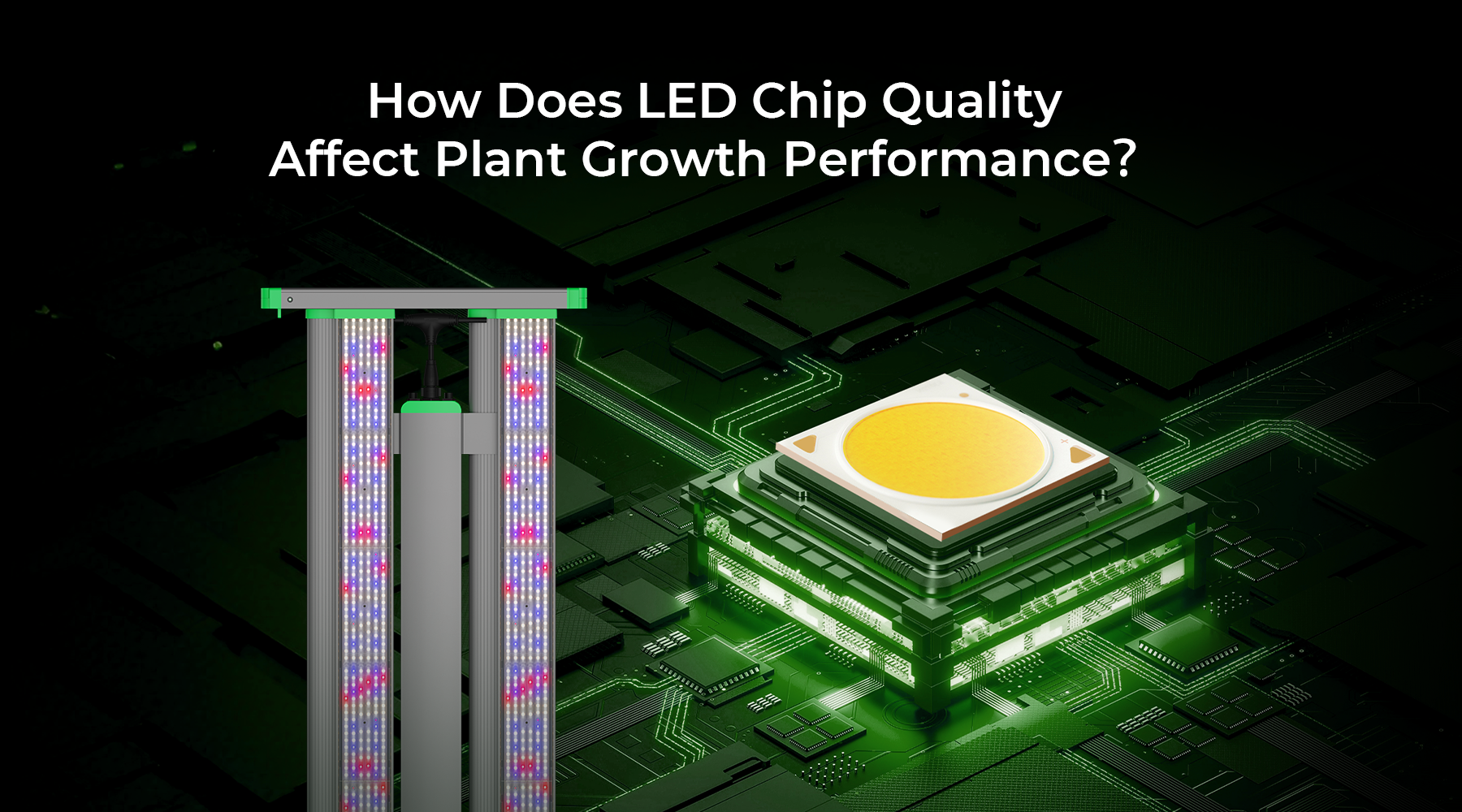 How Does LED Chip Quality Affect Plant Growth Performance? image illustrating LED grow lights and chips.