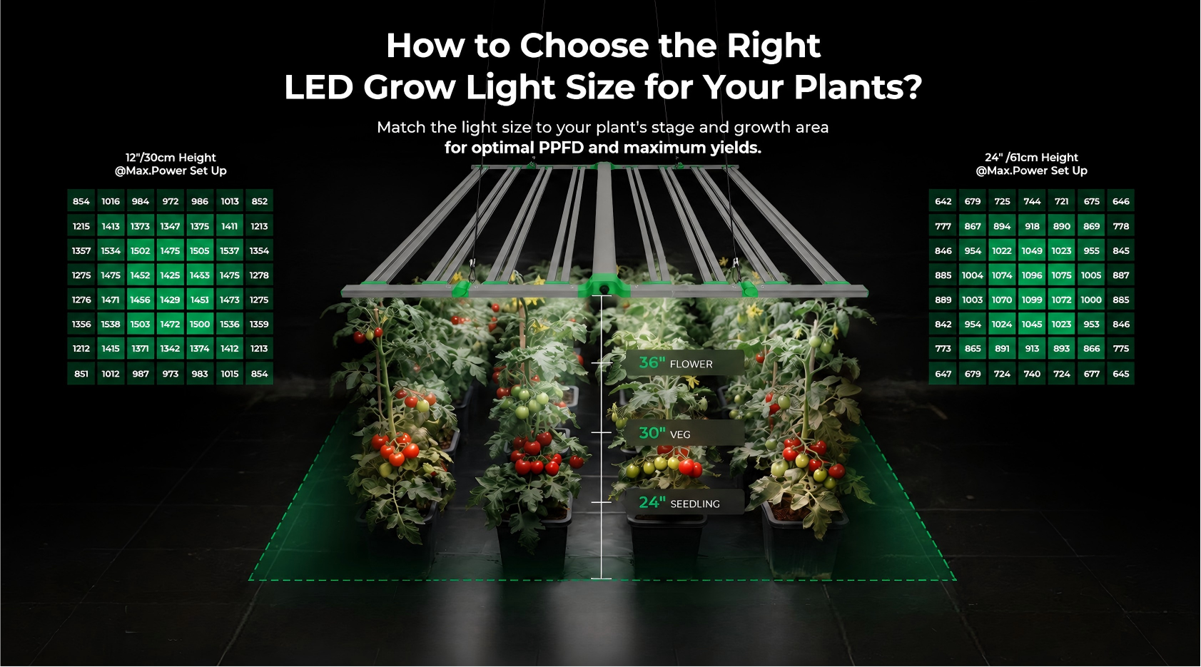 LED grow light size guide with height recommendations for optimal plant growth and light coverage.