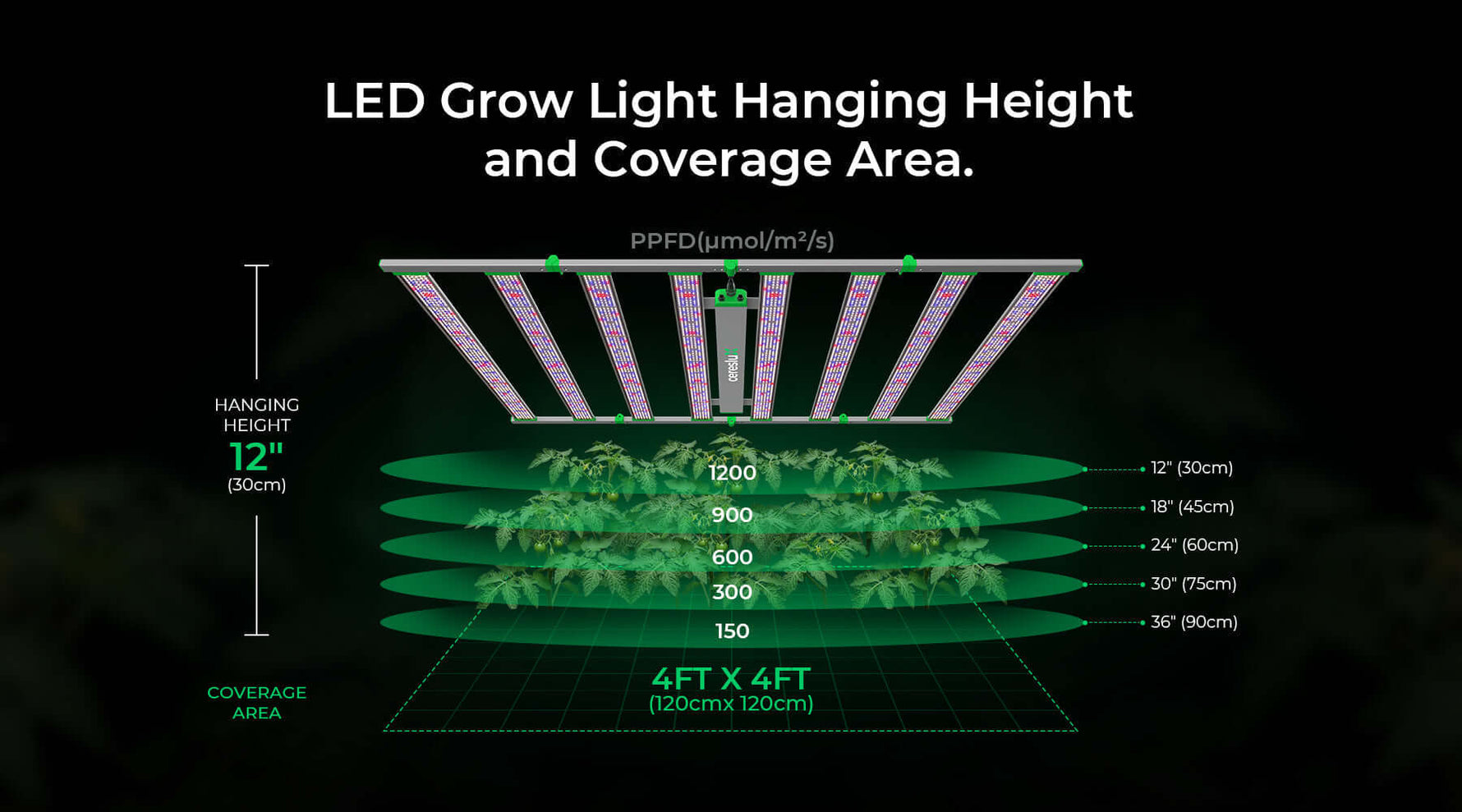 LED grow light hanging height guide showing optimal hanging height and PPFD coverage area.