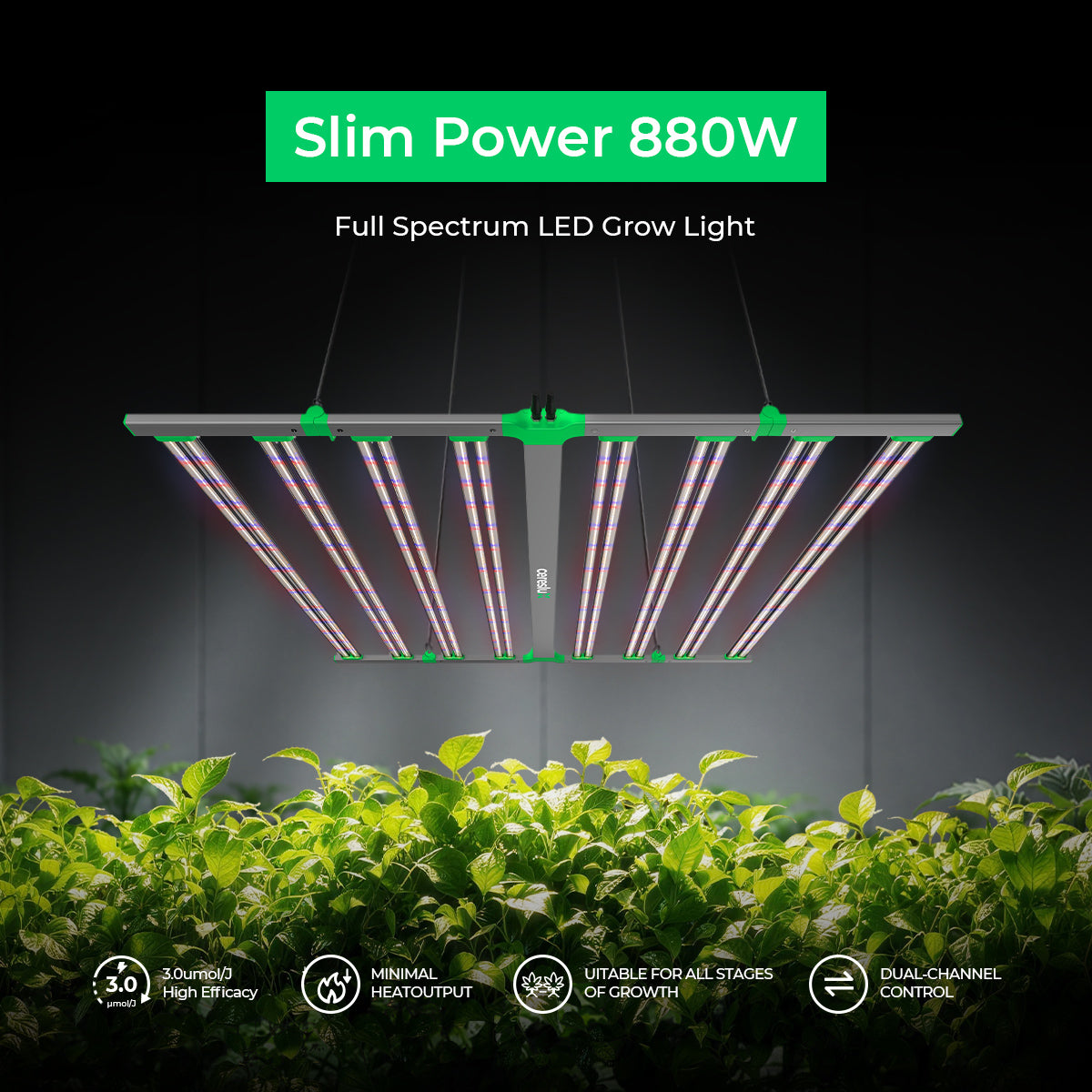 CeresLux Slim Power 880W High-Efficacy LED grow light for commercial led grow light 880W with full spectrum performance.