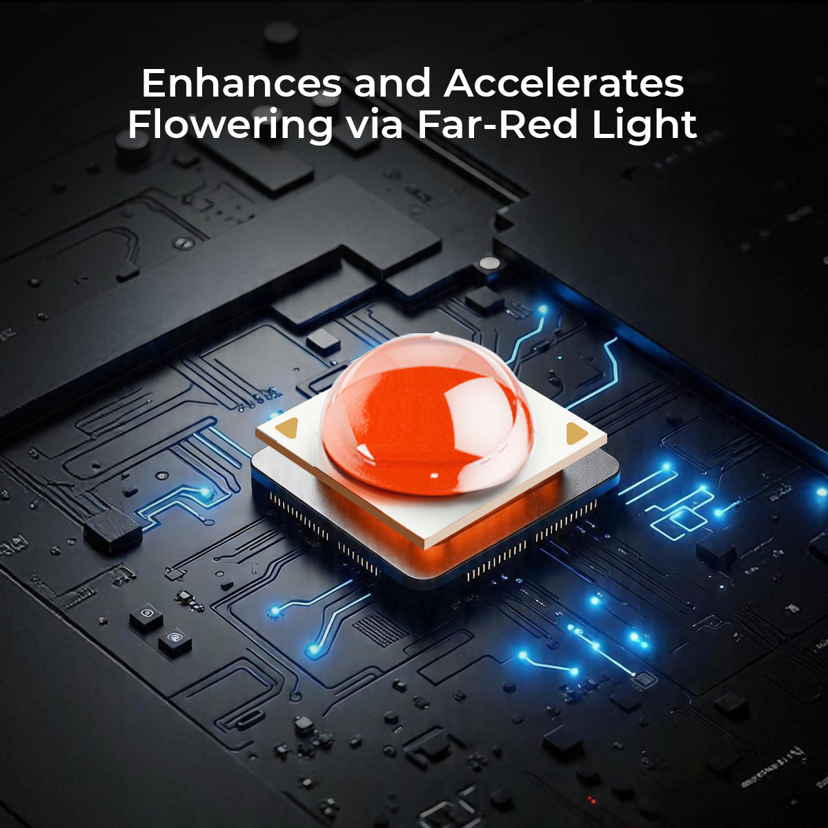 Enhances and accelerates flowering via far-red light in a commercial LED grow light 880W.