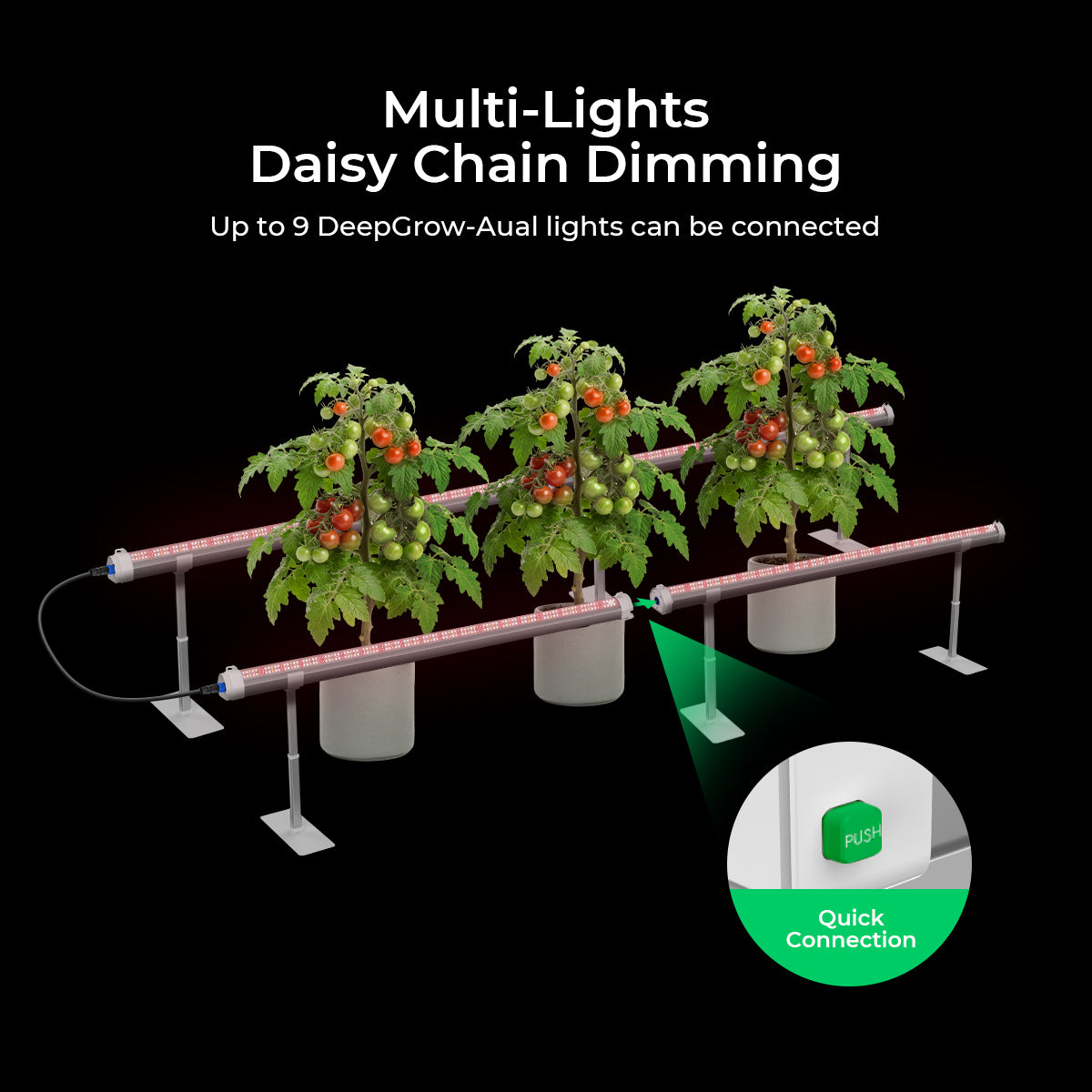  145W Under Canopy LED Grow Light
