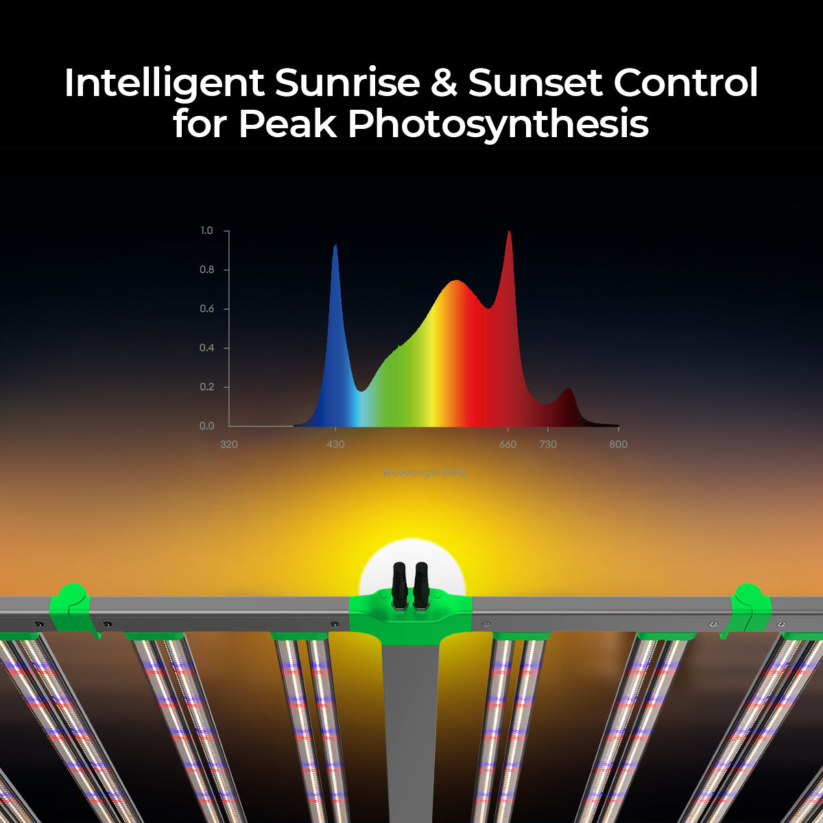 Intelligent sunrise and sunset control for peak photosynthesis with CeresLux Slim Power 880W commercial LED grow light 880W.