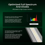 Commercial LED grow light for controlled environment agriculture