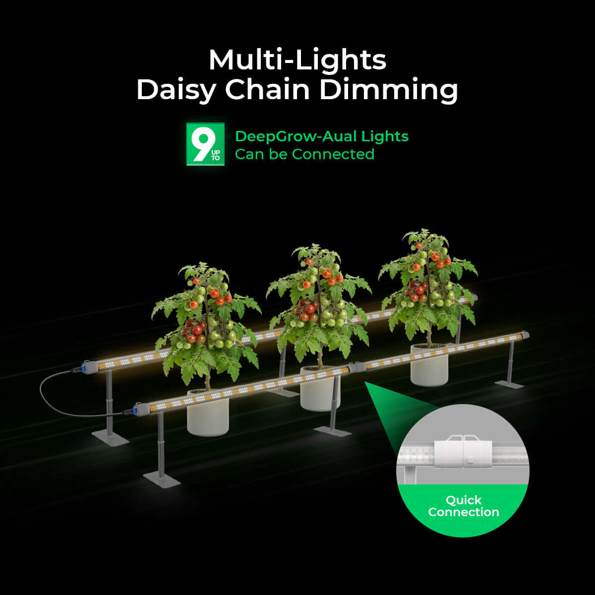 Under Canopy LED Grow Light – 3.2 µmol/J, IP66