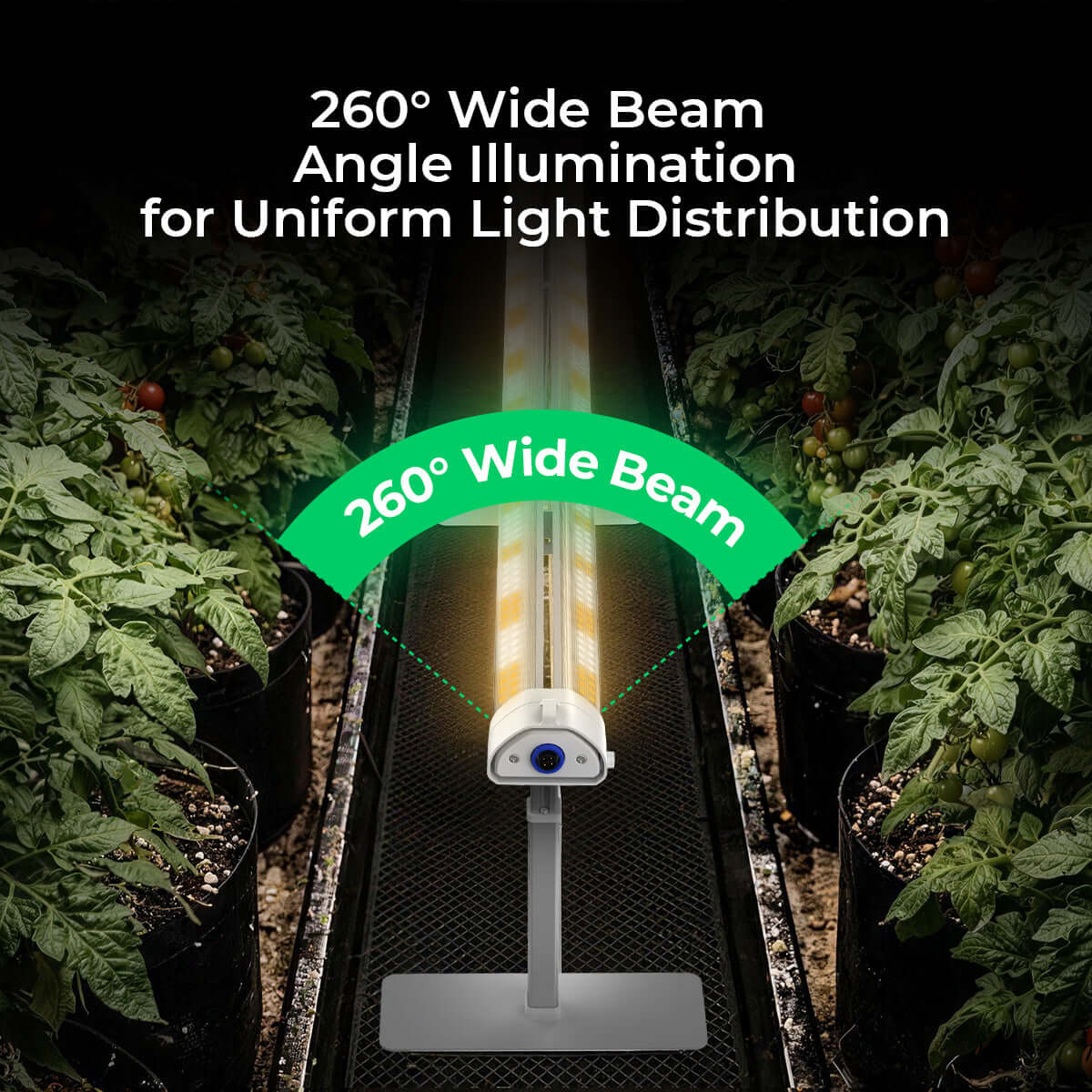 Under Canopy LED Grow Light – 3.2 µmol/J, IP66, Daisy-Chaining System, rated waterproof IP65.