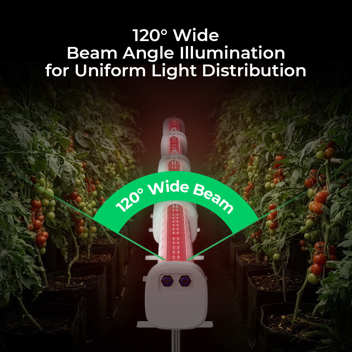 180W LED grow light under canopy with 120° wide beam angle for uniform light distribution in indoor gardens.