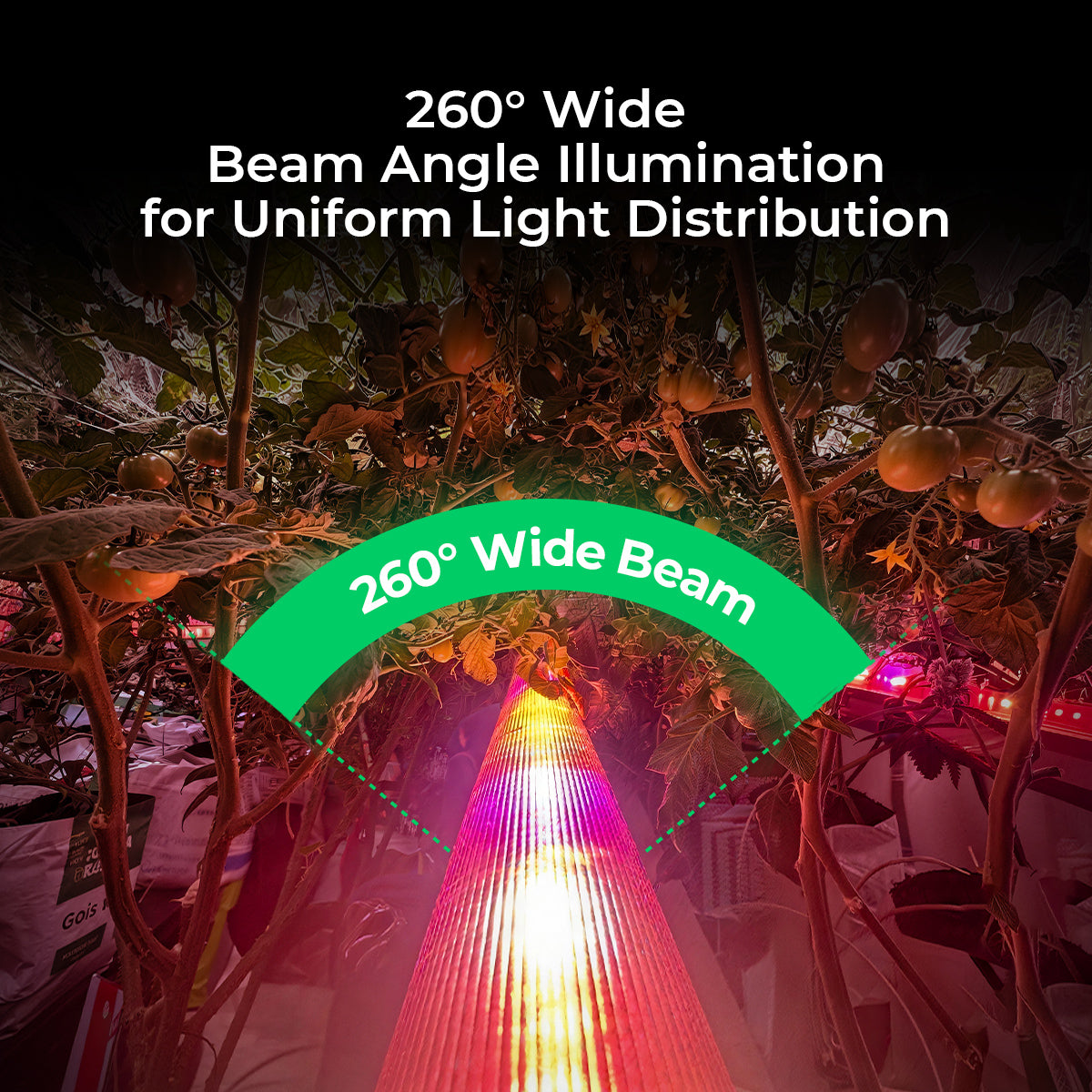 LED Grow Light | Full Spectrum, IP65 Waterproof, Linkable for Cloning, Veg & Bloom.