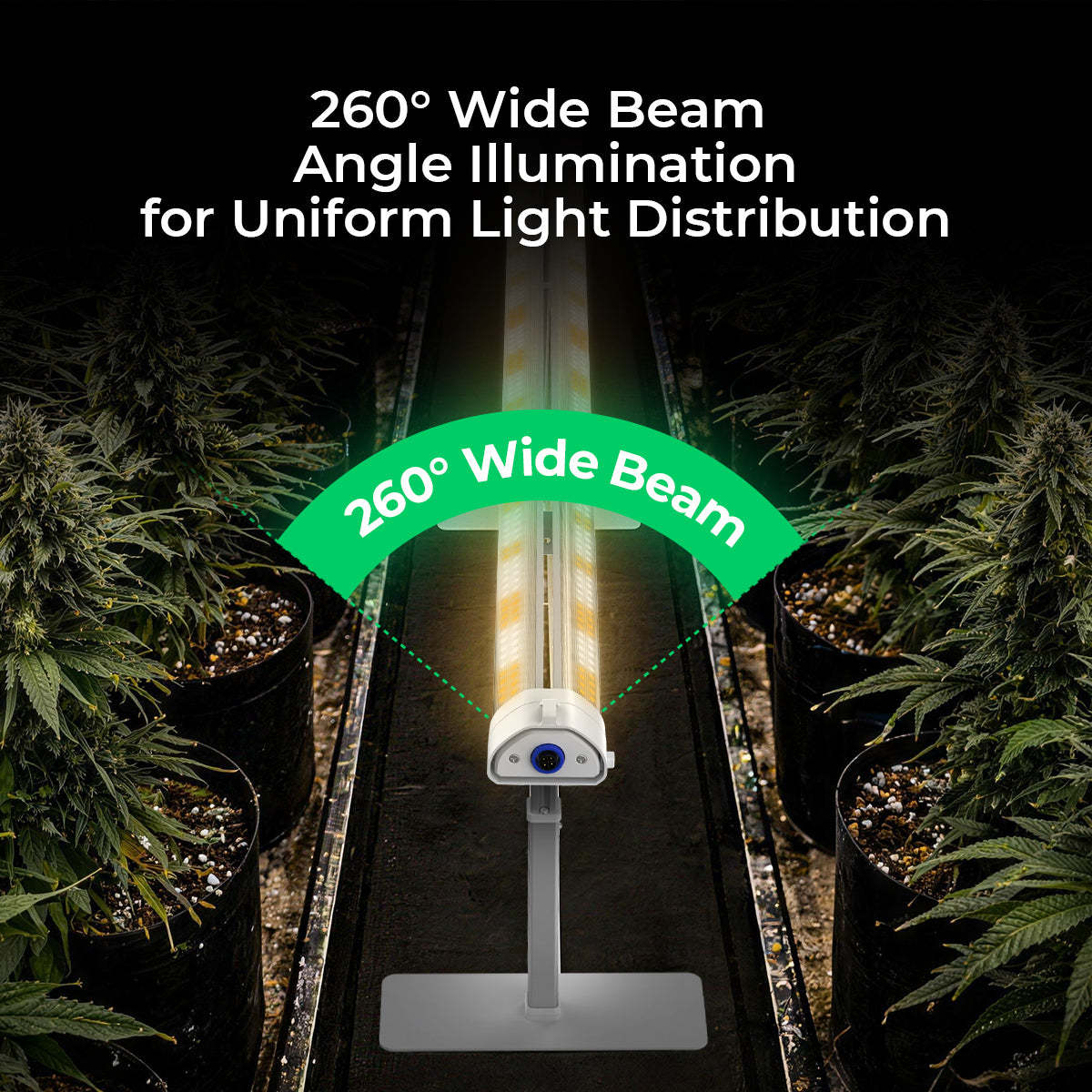 Cereslux DeepGrow-Chain 140W Under Canopy LED Grow Light – 3.2 µmol/J, IP66, Daisy-Chaining System with 260° wide beam angle.