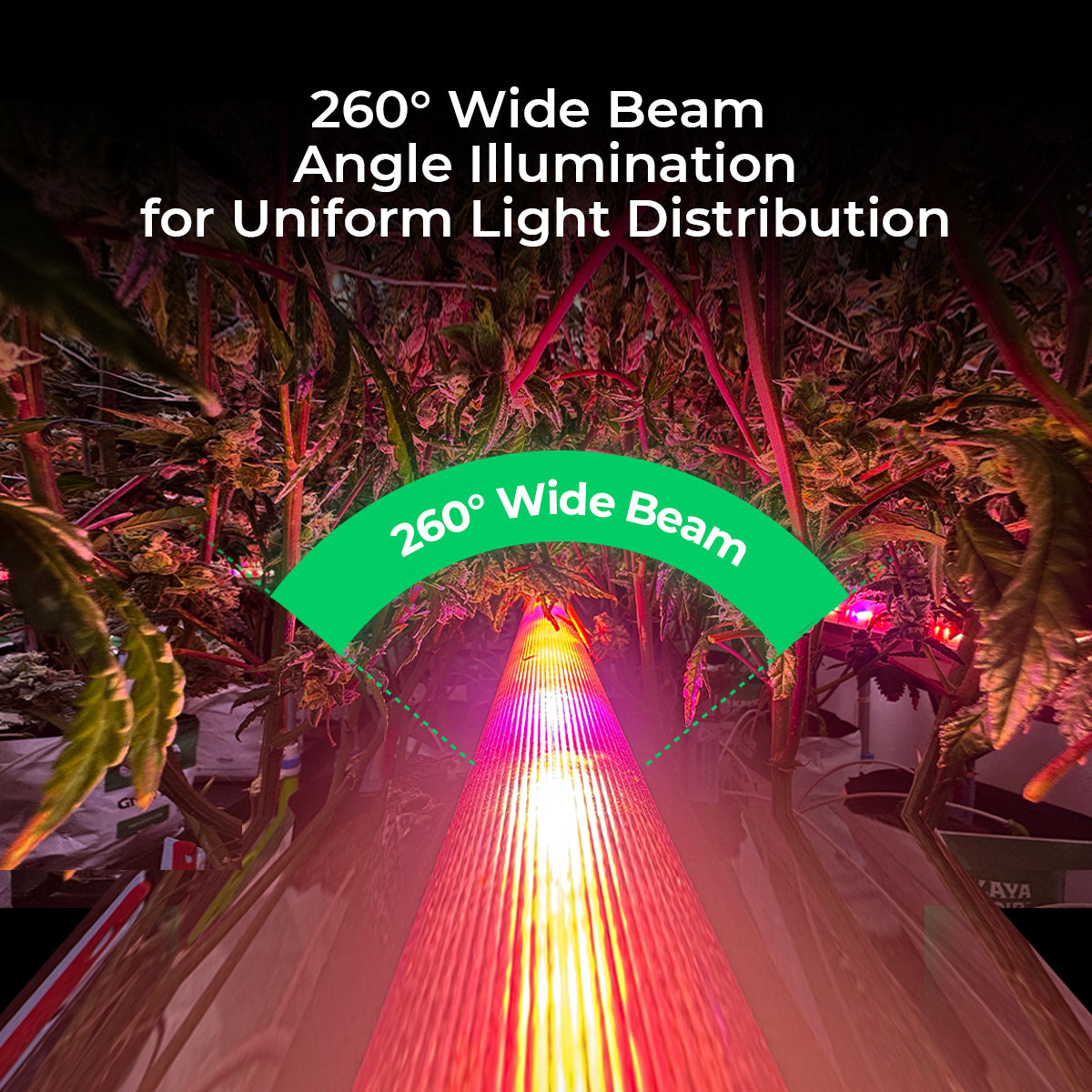 Cereslux DeepGrow-Dual 145W Under Canopy LED Grow Light | Full Spectrum, IP65 Waterproof, Linkable for Cloning, Veg & Bloom with 260° wide beam angle.