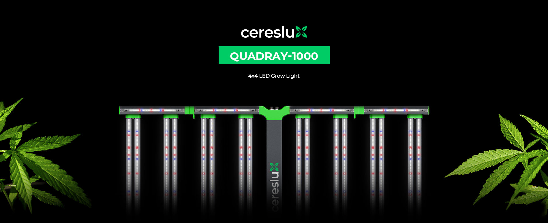 Industrial grade CeresLux QuadRay 1000W LED plant light for master growers