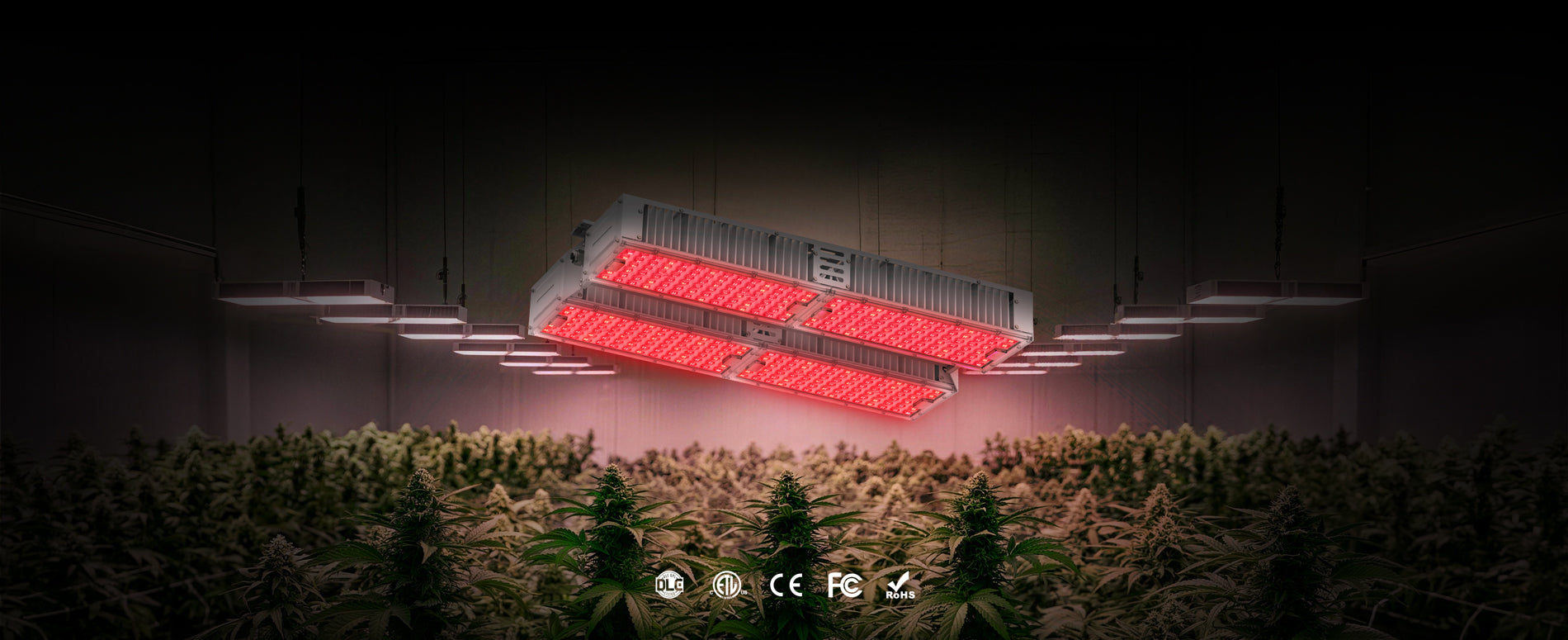 Commercial IP65 Waterproof LED Grow Light with High-Efficiency Full Spectrum Lighting for Indoor Farming
