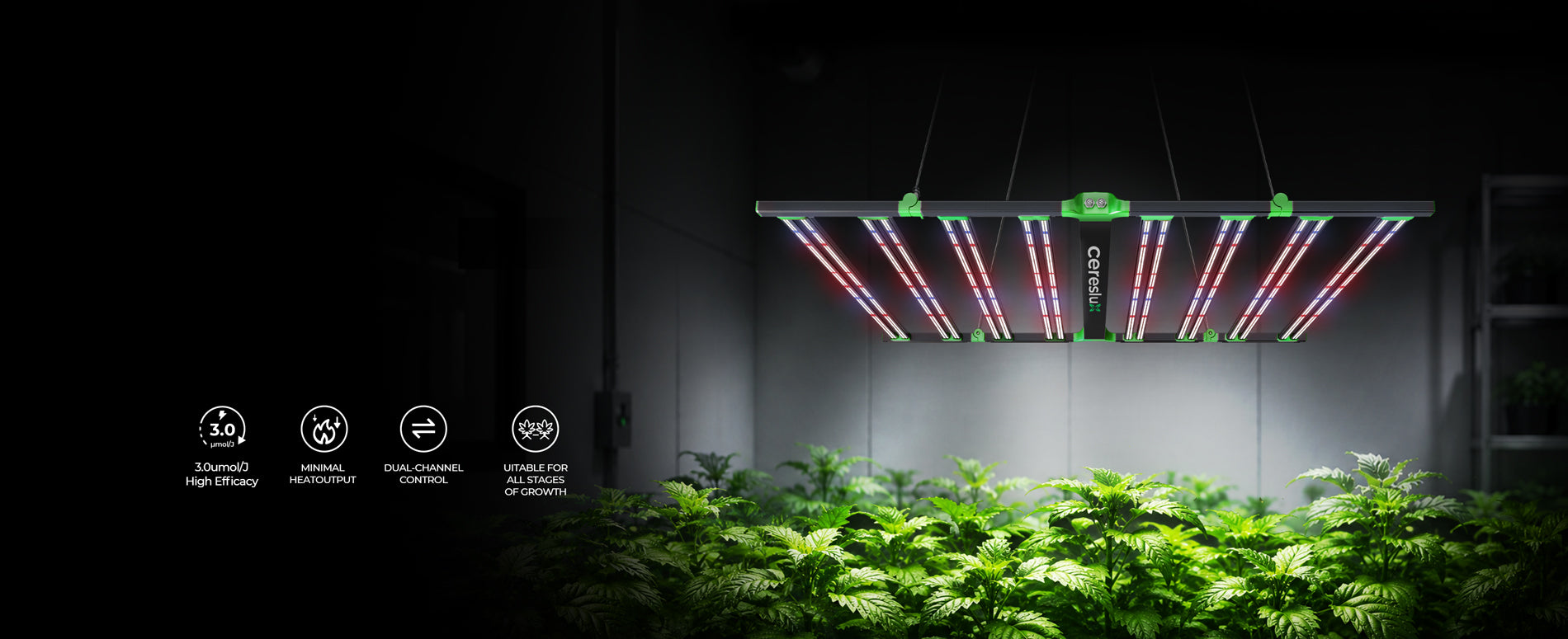 880W High-Efficacy LED Grow Light for 4x4 Grow Tent