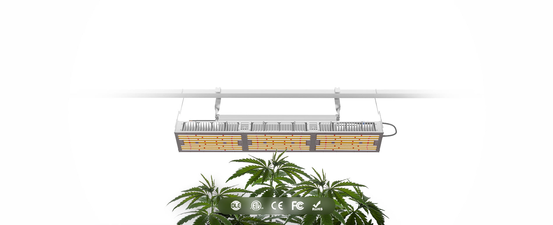 1080W Full Spectrum LED Grow Light with 4.0 µmol/J PPE