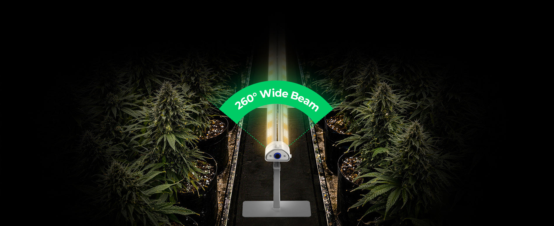 LED grow bar with daisy-chain system