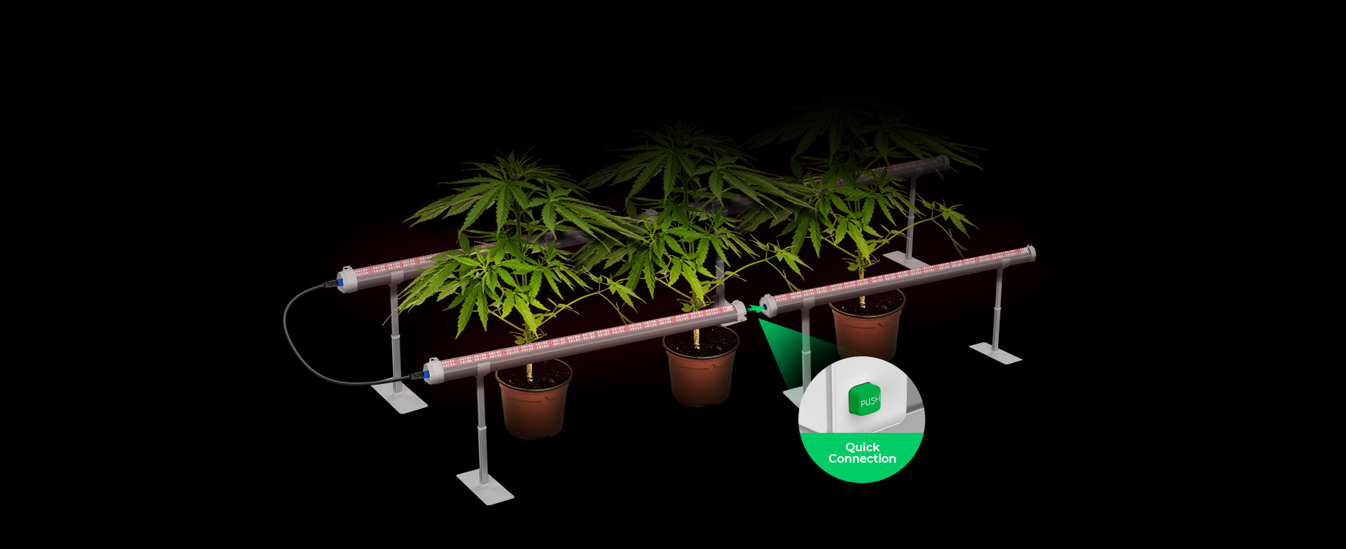 Under Canopy Grow Light with Daisy Chain Linkable Design