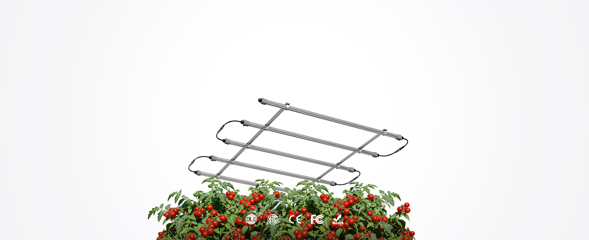 Cereslux Clone X LED Grow Light for Indoor Plant