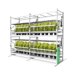 Mobile cultivation rack for high-density indoor growing