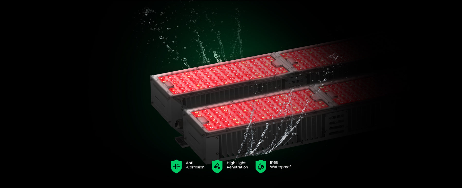 Professional Greenhouse LED Grow Lighting System