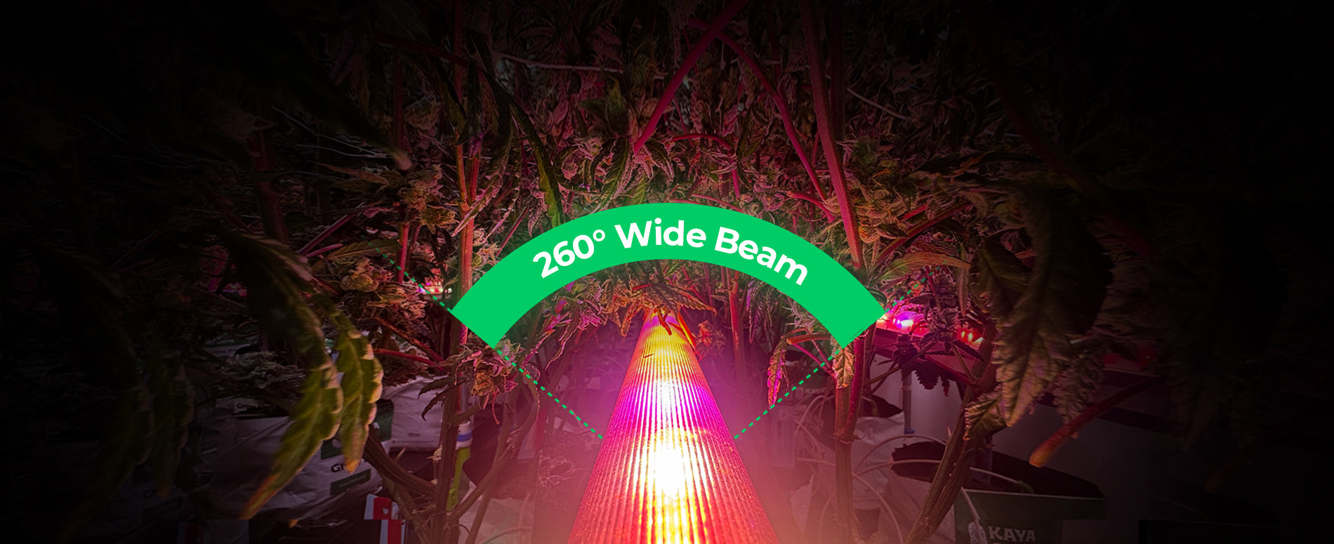 Indoor Plant Grow Light with Full Spectrum Output