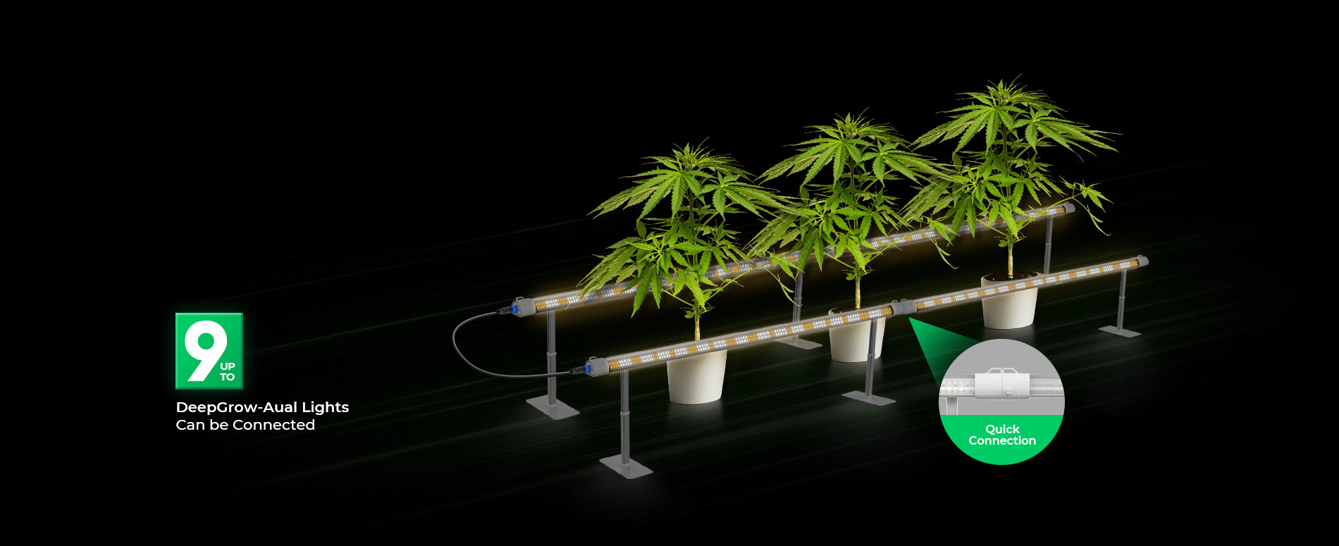 Advanced LED grow lighting for greenhouse and vertical farming systems