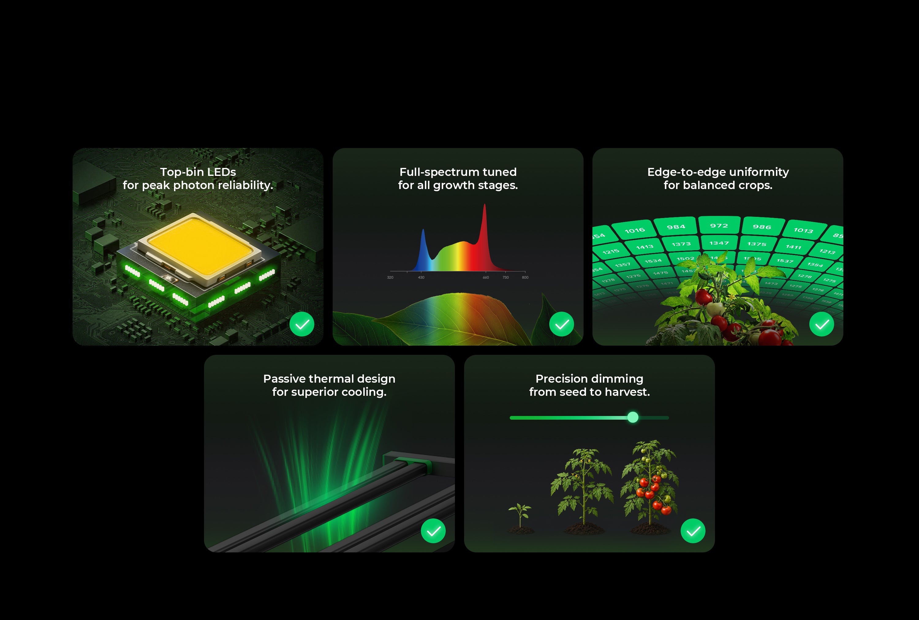 Product Highlights