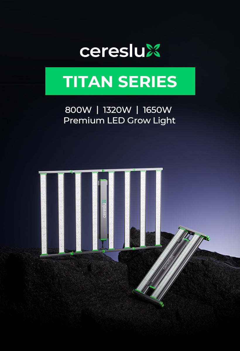 Ultra high efficiency 3.0 umol J CeresLux Titan Series 1320W LED grow ligh