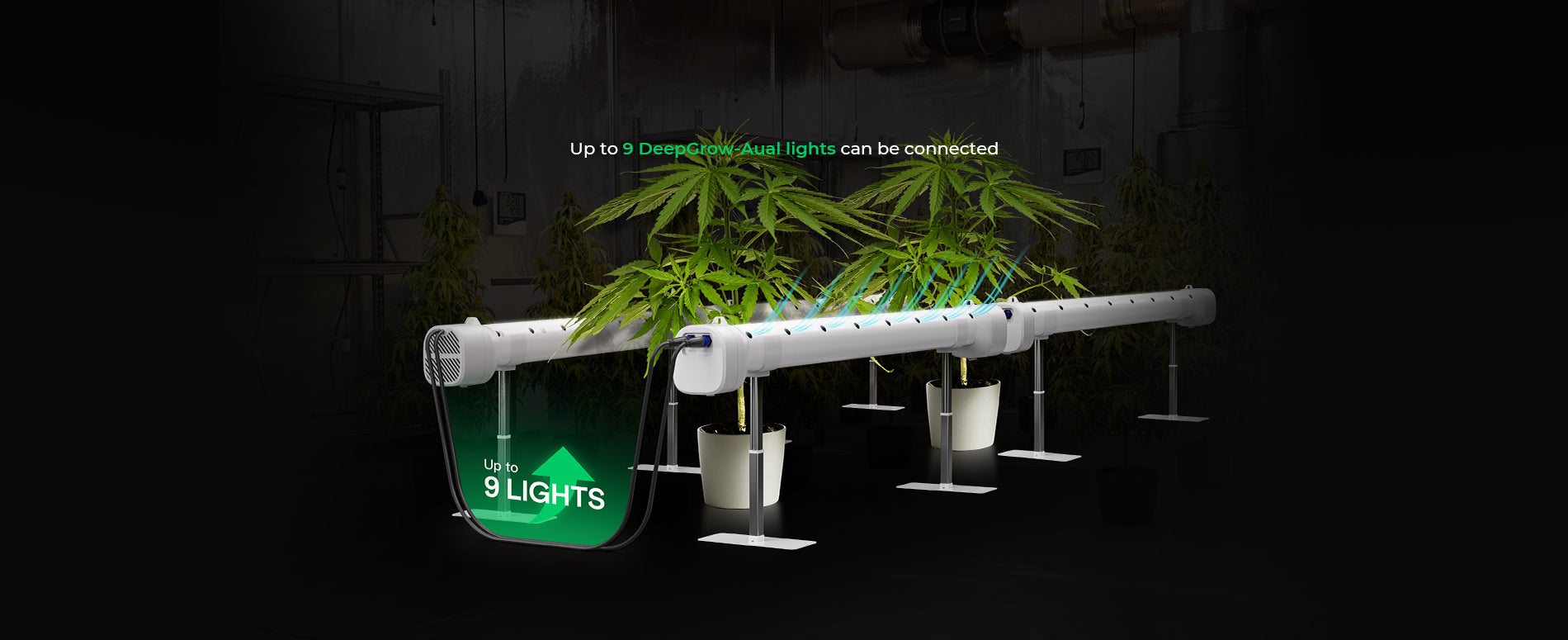 Commercial Under Canopy LED Grow Fixture with IP65 Protection