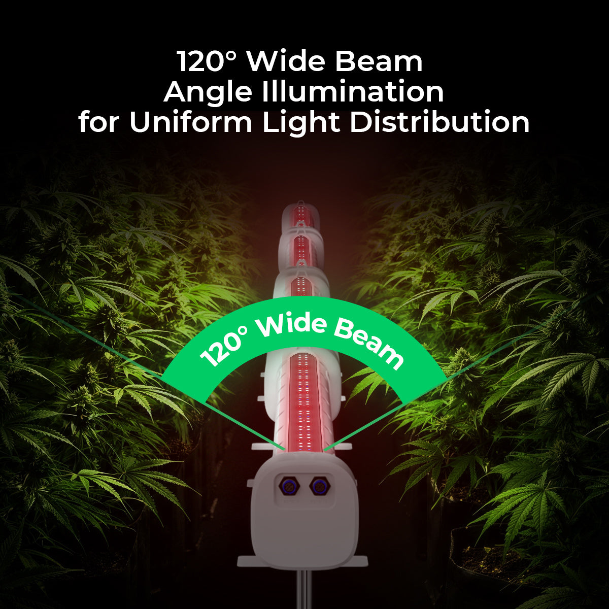 Cereslux DeepGrow-Aero 175W Under Canopy LED Grow Light with UV & Far-Red Spectrum 120° wide beam angle illumination