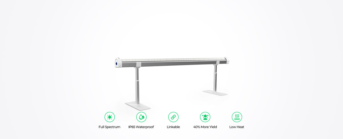 Cereslux DeepGrow-Dual 145W Under Canopy LED Grow Light | Full Spectrum, IP65 Waterproof, Linkable for Cloning, Veg & Bloom.
