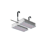 CeresLux Quadra 600W/1400W 4.0 µmol/J IP65 Full Spectrum LED Grow Light for optimal plant growth.