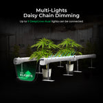Cereslux DeepGrow-Aero 175W Under Canopy LED Grow Light with UV & Far-Red Spectrum multi-lights daisy chain dimming setup.