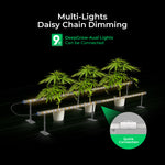 Cereslux DeepGrow-Chain 140W Under Canopy LED Grow Light – 3.2 µmol/J, IP66, Daisy-Chaining System with plants.